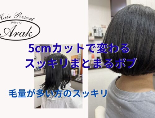 5cmカットでここまで変わる｜毛量が多い方のスッキリまとまるボブ