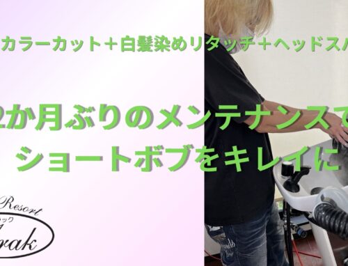 2か月ぶりのカラーカットとヘッドスパ｜ショートボブをきれいに保つメンテナンス施術