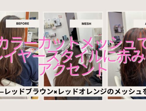 カラーカットメッシュでレイヤースタイルに動きをプラス