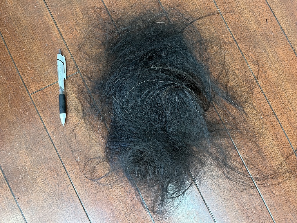 フレンチカットグランで実際に梳いた髪の量