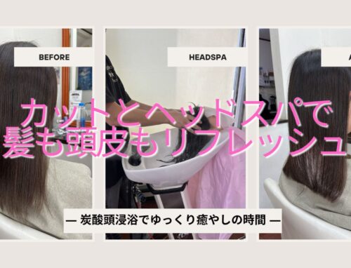 半年ぶりのカットとヘッドスパ｜炭酸頭浸浴で髪も頭皮もリフレッシュ