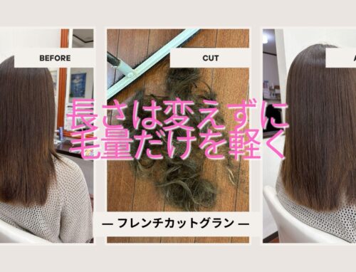 長さを変えずに毛量を減らす｜暑い季節のフレンチカットグラン