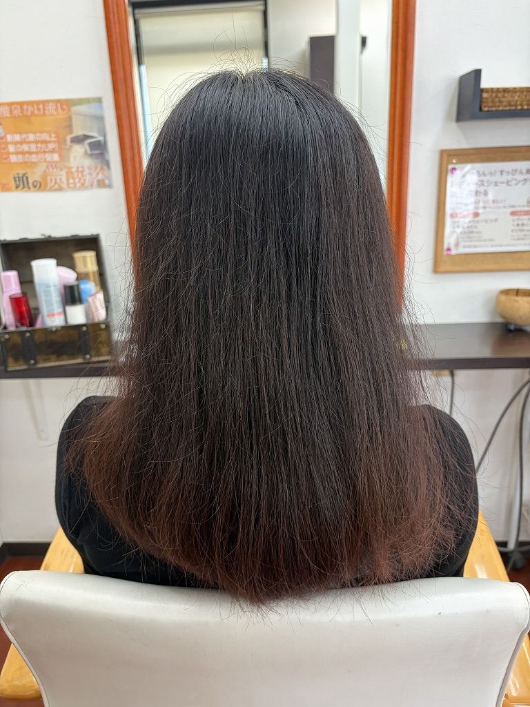 後ろから見たハナヘナ施術前の髪