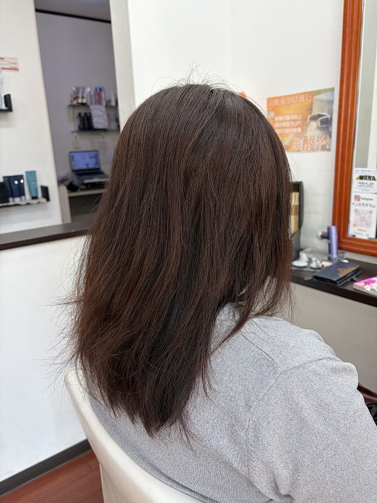 カット前のロングヘア。多毛で全体に重さが出ている状態