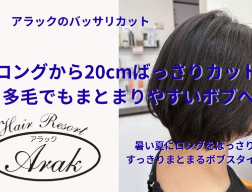 暑い夏に20cmばっさりカット｜多毛でもまとまりやすいボブスタイルへ