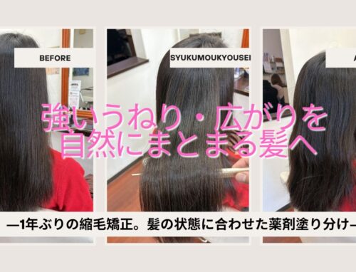 1年ぶりの縮毛矯正｜強いうねりと広がりを薬剤塗り分けで整える