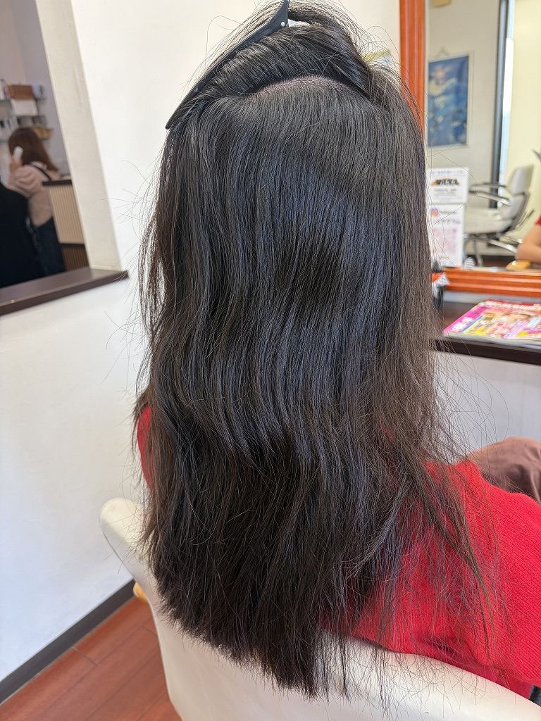 ロングヘアの内側に見られる強い波状毛と捻転毛