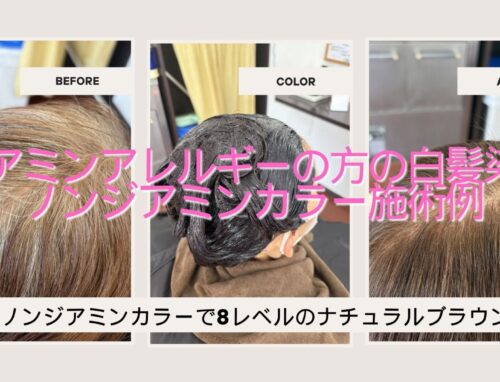 白髪が多い髪を8レベルのブラウンに｜ノンジアミンカラー施術例