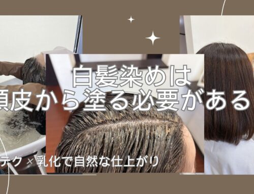 白髪染めは頭皮から塗る必要がある？白髪量に合わせて塗り分ける理由