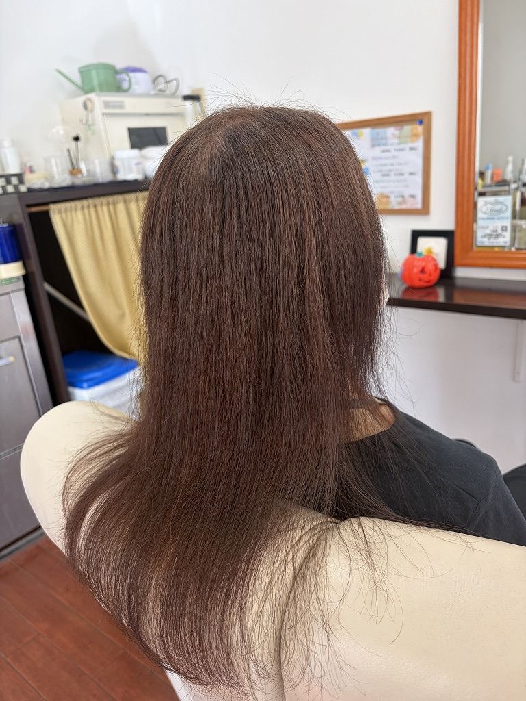 ノンジアミンカラー施術後の髪全体。8レベルのブラウンに染めてブローで仕上げた状態