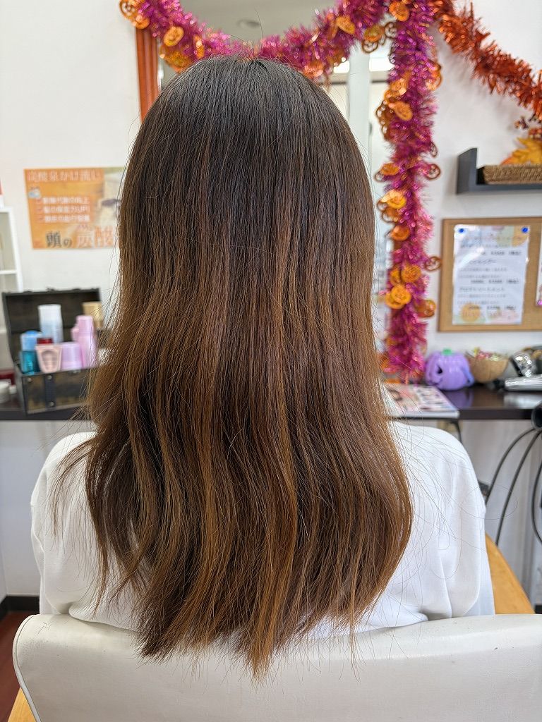 15cmカットする前のロングヘアと毛先の状態を後ろから撮影